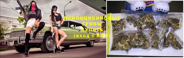 хмурый Абинск