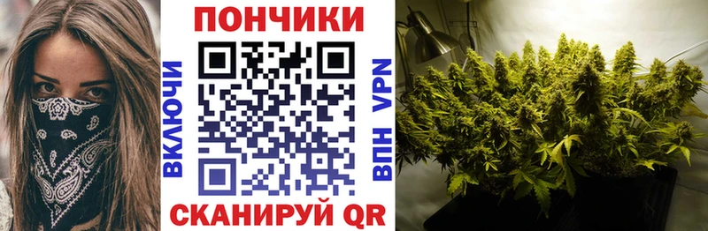 Бошки Шишки тримм Агрыз